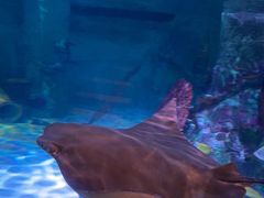 -沈阳海洋探索中心