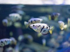 -成都浩海立方海洋公园