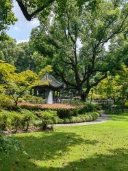 -丁香花园申粤轩·宴会厅