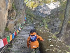 -北京鹫峰国家森林公园