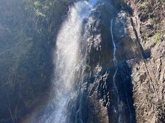 -姑婆山旅游区