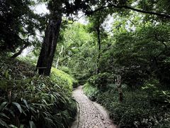 -秋霞圃