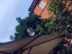 -Ocean's Table 欧舍