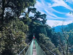 -云南屏边大围山国家公园