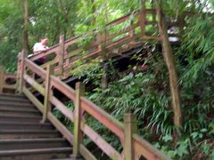 -凤栖山