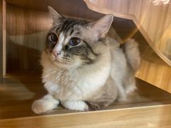 -白兔子密室(长寿路店)