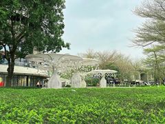 -深圳湾公园(南山区)