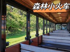 -济州森林小火车生态公园