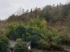-蝶舞清江·恩施云顶景区(黄鹤峰林)