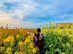 -中国天府农业博览园