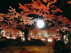 -蓝鲸湾汤泉(包河店)