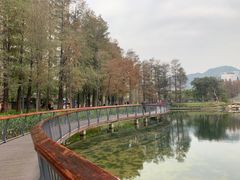 -四海公园(南山区)