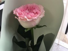 -FEI FEI FLOWER鲜花店·气球派对·宝宝宴布置(虹口德必运动Loft店)