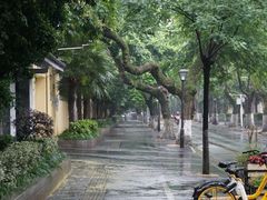 -颐和路民国时期公馆风貌区