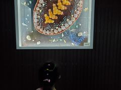 -贝壳王国博物馆