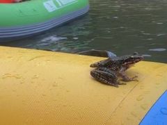 -雅鲁激流探险漂流