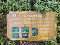 -水濂山森林公园