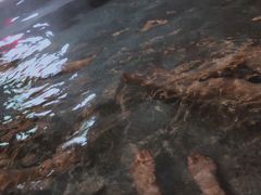 -天赐温泉