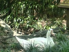 -杭州花家山庄