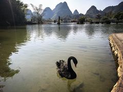 -靖西鹅泉风景区