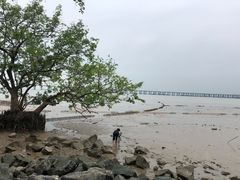 -宝安西湾红树林湿地公园