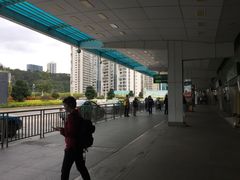 -国际邮轮中心码头(厦鼓码头)