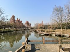 -西安浐灞国家湿地公园