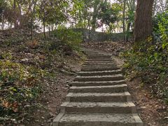 -上海佘山国家森林公园天马山园