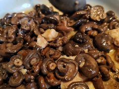 寒菌-润泽天·湘味家宴(岳麓山店)