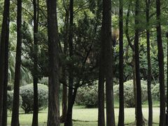 -人民公园(罗湖区)