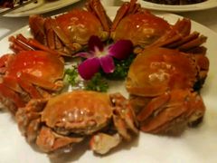 -豪廷轩中餐厅·特色云南菜(温德姆至尊豪廷大酒店)