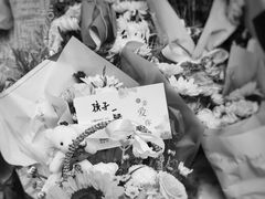 -上海市世外小学