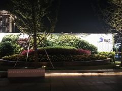 -西北湖绿化广场