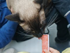 -拜鲁耶动物诊疗中心·宠家动物医院