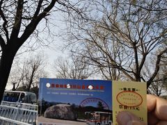 -秦始皇帝陵博物院-丽山园