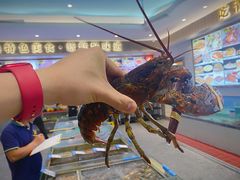 -小北江河鲜(新城店)