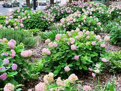 -嘉善路(地铁站)