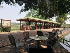 -侯臣咖啡文化村