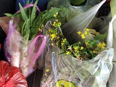 -武汉世外桃源农庄