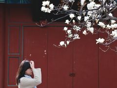 -万寿八仙宫