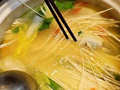 -先机泉水鸡汤(南山老君洞店)
