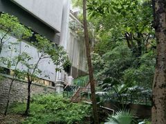 -香港大学