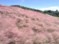 -沂蒙云瀑洞天景区