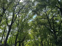 -棕榈岛海鲜自助餐厅(虹桥迎宾馆店)