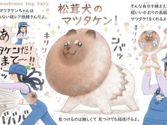 -仓桥家·焗寿司·锅物(光谷步行街店)