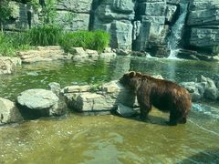 -北京野生动物园