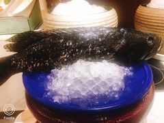 -都会尚膳·海鲜自助餐厅(重庆万豪酒店)