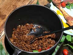 焖饭-回到森林计划