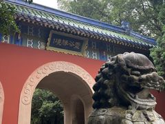 -灵谷景区