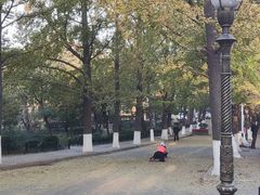 -八大关景区